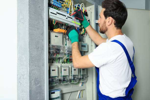 Best Electric Panel Repair  in Riverside, IL